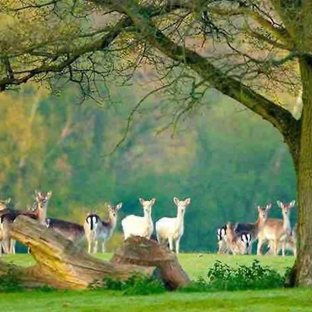 New Forest Retreat Shorefield Country Park Lymington Extérieur photo