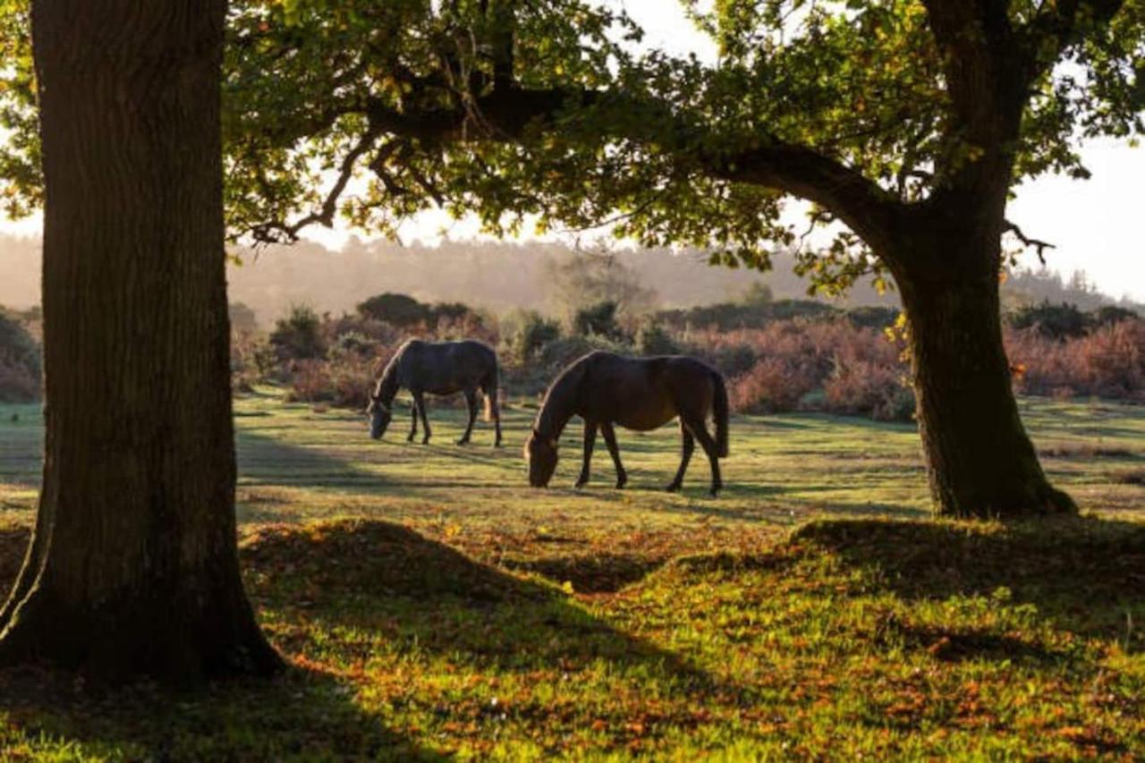 New Forest Retreat Shorefield Country Park Lymington Extérieur photo